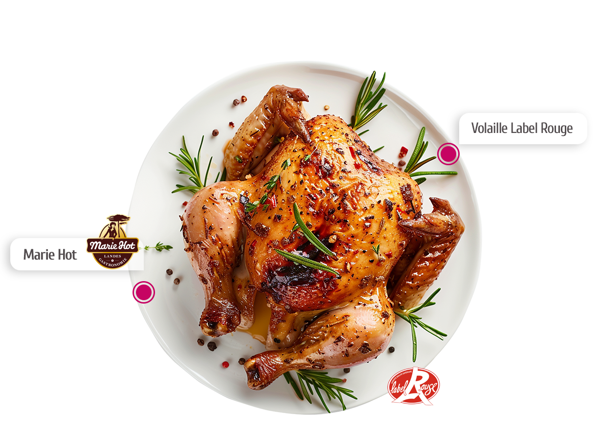 Plat - volaille